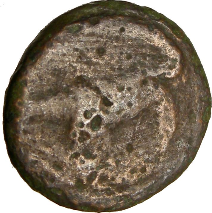 AKRAGAS Sicily Ancient 425BC GREEK Authentic Ancient Coin Eagle Crab 