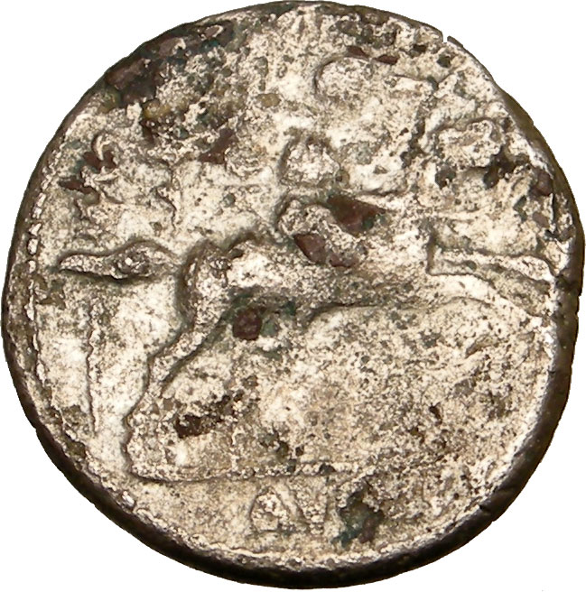 AUGUSTUS 8BC Silver Roman Coin w GAIUS CAESAR on HORSE | eBay