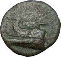 Megara ATTICA 307BC Ancient Rare Authentic Genuine Greek Coin SHIP 