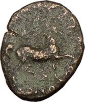 CASSANDER 319BC Macedonian King Rare Authentic Ancient Greek Coin 