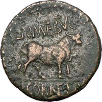   Genuine Authentic Celsa Spain BULL Rare Ancient Roman Coin NICE  