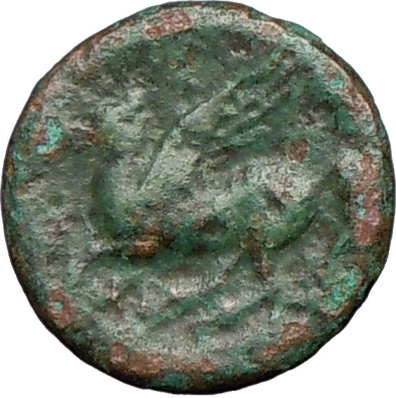 Syracuse SICILY317BC Agathocles Apollo Pegasus Winged Horse Ancient 