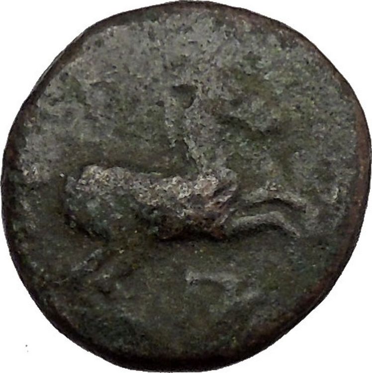 Maroneia in Thrace 400BC Original Ancient Greek Coin Horse Vine Grapes ...