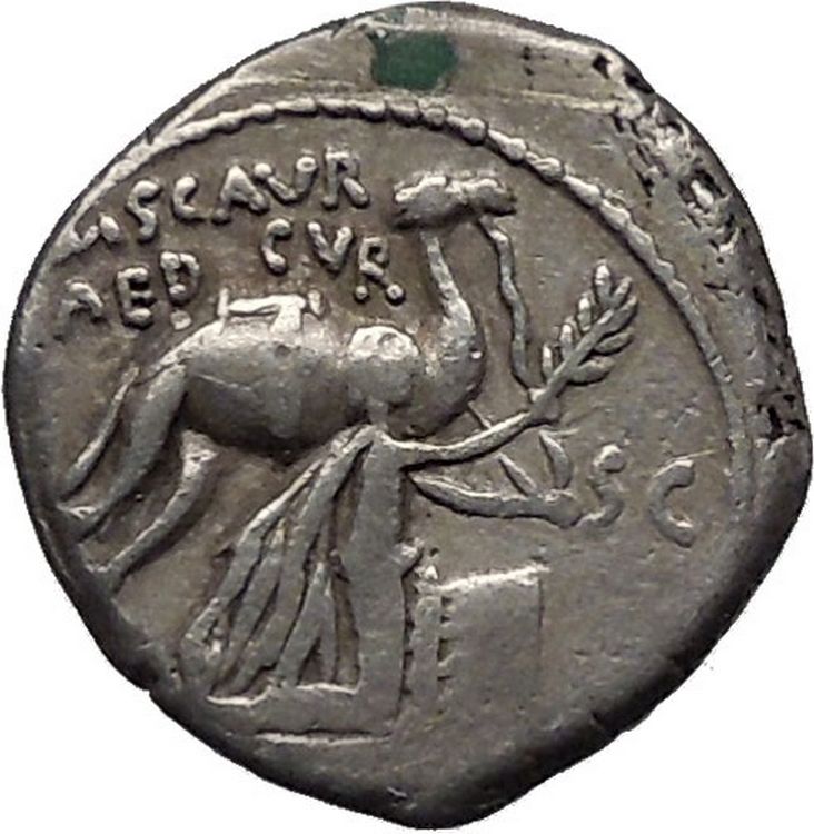 Pompey the Great General Beats Aretas III Arab Nabatea Silver Roman ...