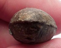 300BC Authentic Ancient GREEK Lead SLING BULLET Thunderbolt Artifact ...